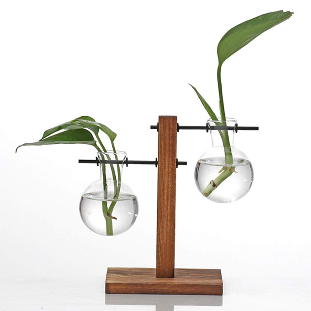 Buy Kingbuy Hydroponic Glass Vase Vintage Desktop Terrarium er Bulb