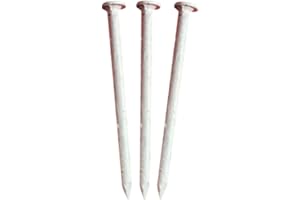 Eagle 1 Smooth Shank 304 Painted Stainless Steel Aluminum Fascia Cover and Siding Nails -1lb Boxes, 1.25 inch, about 600 nails per box (1LB WHITE)