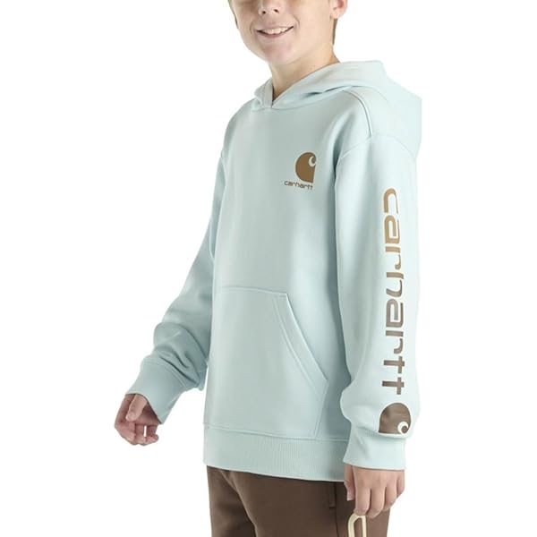 c-boy style (vol.1147)Carhartt USA製 Carhartt Boy's Long-Sleeve Graphic Sweatshirt - Traditions