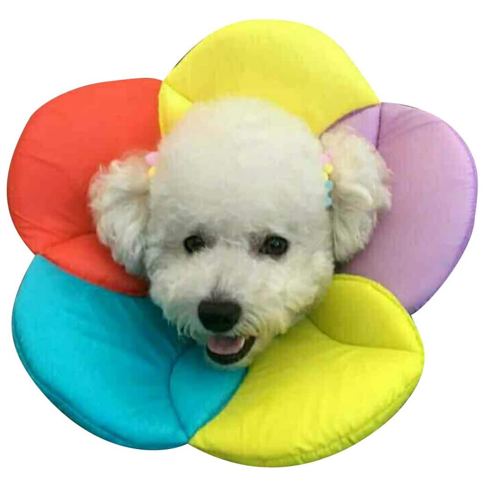 DELIFUR Dog Cone Collar Pet E-Collar Elizabethan Collars Recovery Pet Cone for Cats and Small Dogs Breathable Soft Edge and Easy to Clean(S)