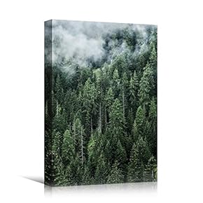 signwin Canvas Wall Art Green Forest Dramatic Forest...