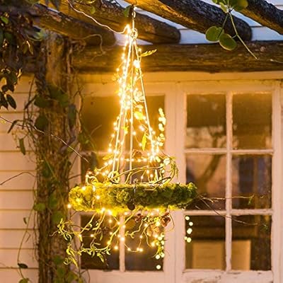 Amazon Com Ecowho 100 Led String Lights 33ft Waterproof