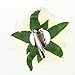 DRESHOW Flower Hair Clip Rose Hairpin Floral Brooch Floral Hair Clips for Women Rose Hair Accessories Wedding Pack 5/16