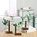 Kingbuy Hydroponic Glass Vase Vintage Desktop Plant Terrarium Planter Bulb Vase Water Planting Propagation Vase Libra planters Hydroponics Plants with Retro Wooden Stand Home Garden.thumb 1