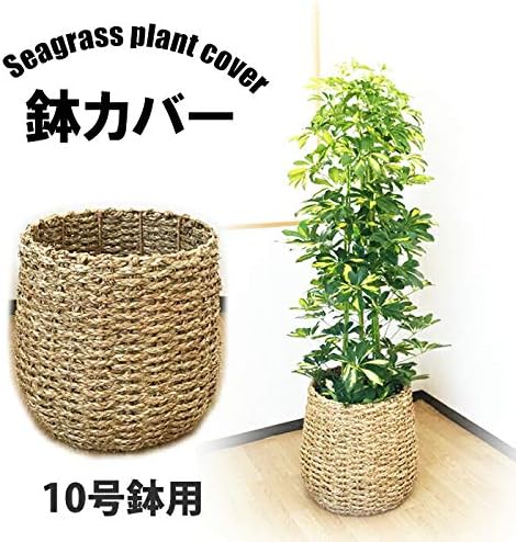 Amazon Co Jp 鉢カバー 10号 10号鉢がすっぽり 手編みバスケット 大鉢用 １０号鉢用 インテリアカバー 手作り ハンドメイド 観葉植物 おしゃれ インテリア ホーム キッチン