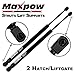 Maxpow Rear Hatch Liftgate Struts Shocks Tailgate Lift Supports Replacement for 2002-2006 Cadillac Escalade, 2002-2004 Chevy Suburban & Tahoe, 2000-2004 GMC Yukon, 6262 SG230064
