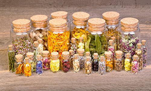 image for Wild Herbal #2 Mood Lift Tea Blend by Wild Foods - 7 Ingredient Tea wi