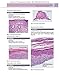 Dermatopathology: Expert Consult - Online and Print