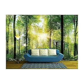 BRAND_NAMEPanorama of a Scenic Forest of Fresh Green...