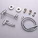 HANEBATH Brass Toilet Bidet Sprayer Set with Hot and Cold Mixing Valve with Hose ,Chrome
