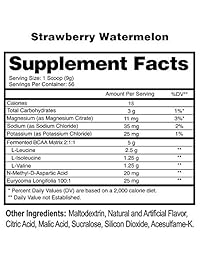 Anabolic BCAA Powder Supplement by Anabolic Warfare – Branched Chain Amino Acids to Help Fuel and Recover (Strawberry Watermelon - 56 Servings)