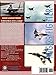 Mikoyan MiG-29 Fulcrum Pilot's Flight Operating Manual (English)