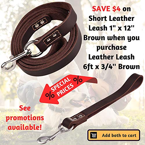 ADITYNA Leather Dog Leash 6 Foot x 3/4 inch Soft and Strong Leather Leash for Large and Medium