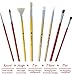 Daveliou Paint Brush Set, Oil and Acrylic Paint Brushes with Canvas Brush Holder, Premium Quality Artists Paint Brushes with Multiple Brush Heads, Sizes and Fibers (24 Brushes)