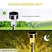 Sunnest Warm White Solar Garden Lights Outdoor, Solar Powered Pathway Lights, Outdoor Landscape Lighting for Garden/Yard/Lawn/Patio/Walkway/Driveway(12 Pack)