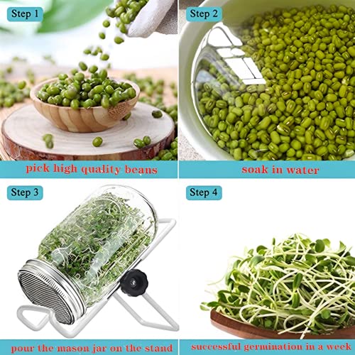 Beauenty Mason Jar Sprouting Kit-2pack 32oz Complete Wide Mouth Mason Jar Sprouting Kit with Stainless Steel Sprouter Lids,Stand &Tray,Sprouting Jars for Bean Broccoli Alfalfa Radish Sunflower Seed