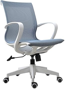 Amazon Com Barir Home Office Chair Soft And Comfortable Study