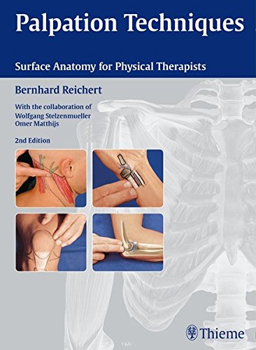 Palpation Techniques: Surface Anatomy for Physical Therapists