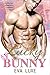 Lucky Bunny: A Billionaire Fake Fiance Romance