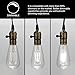 Vintage LED Edison Bulb, 8W Dimmable Filament Light Bulb, ST64 940 Lumen Daylight 5000K, 75W-100W Incandescent Equivalent,E26 Medium Base Squirrel Cage Antique Lamp, Pack of 4
