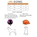 Lifeunion Funny Cool Pet Doggie Cap Hat for Sun Rain Protection,Great Birthday for Small Medium Cats Dogs (S, Black)