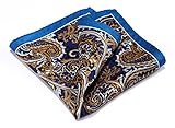 HISDERN Men's Paisley Pocket Square Handkerchief