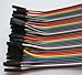 Phantom YoYo Compatible/Replacement for Dupont Cable 200mm Male to Female 40p/Set