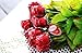 Madelaine Chocolates, Exquisite, Intricate, Highly Detailed 3/4 OZ Premium Milk Chocolate Roses, Nestled In Medium Stems With Lush, Silk Leaves - Semi-solid Chocolate - (Red) (6 Pack)