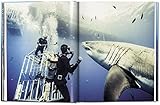 Image de Michael Muller: Sharks, Face-to-Face with the Ocean's Endangered Predator