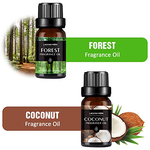 Fragrance Essential Oil - Organic 6pc Holiday Breeze Scent Gift Set - Perfect for Candle Making, Soap Scents, Slime… - Image 3