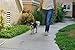 ErgoClick - Black Retractable Dog Leash, 26-Feet Long, Large Heavy Duty, Ergonomic Soft-Grip and Durable - For All Sizes and Breeds