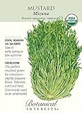 Mustard Greens Mizuna Certified Organic Heirloom Seeds 175 Seeds