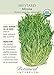 Mustard Greens Mizuna Certified Organic Heirloom Seeds 175 Seeds