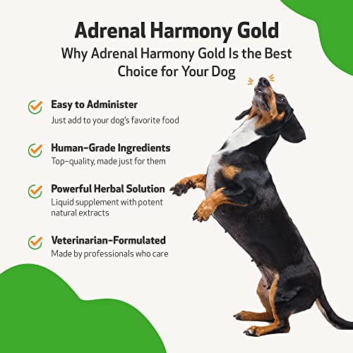 Adrenal Harmony Gold Trusted Care for Dog Cushing’s Pricepulse