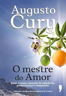 Livro O Mestre do Amor