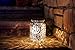 Solar Mercury Glass Jars 2 Pack Outdoor Table Lamps (Silver)