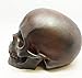 World WAR Rusted Skull Statue Skeleton Figurine 7