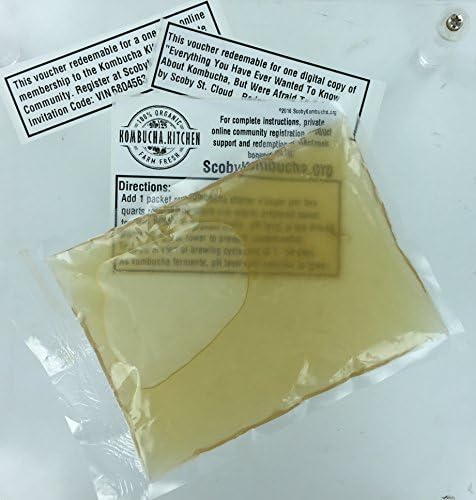 Kombucha Kitchen Raw Kombucha Starter Tea Vinegar Kit (2 Quart, Basic)