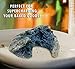 Sou Zen - 100% Blue Butterfly Pea Powder 2.8oz (80g) Culinary Grade | Premium Quality | Naturally Organic Superfood, Raw w/Antioxidants | Mix with Beverages, Smoothies and Baked Bread Goods