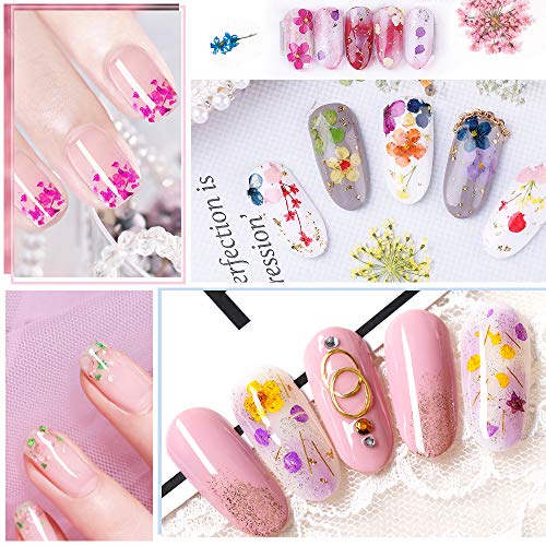 Nail Art Dried Flowers and Leaves 3D Nail Art Sticker Decals,24 Colors Natural Real Small Dried Flowers Nail Art Kit Decorations Supplies with Tweezer (2 Boxes)