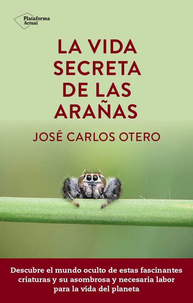 VIDA SECRETA DE LAS ARAÑA