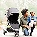 Britax B-Lively Lightweight Stroller, Dove