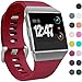 Wepro Bands Compatible with Fitbit Ionic SmartWatch, Watch Replacement Sport Strap for Fitbit Ionic Smart Watch, Large, Small