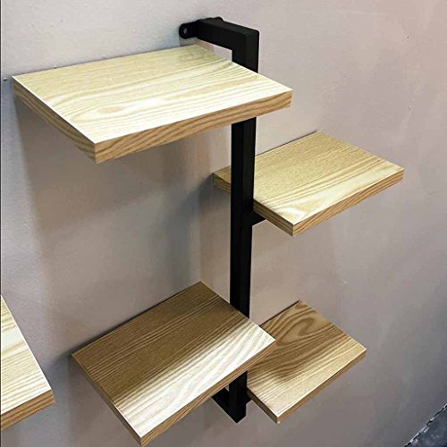 Soporte de exhibición de la flor de la planta Soporte de flores ...