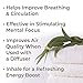 Plant Therapy Organic Eucalyptus Globulus Essential Oil 100% Pure, USDA Certified Organic, Undiluted, Natural Aromatherapy, Therapeutic Grade 10 mL (1/3 oz)