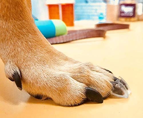 Dog Toe Treads - Senior Dogs 