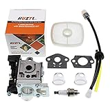 HUZTL Carburetor for Echo GT225 GT225i GT225L PAS225 PE225 PPF225 SHC225 SRM225 SRM225U Trimmer with Repower Maintenance Kit Spark Plug