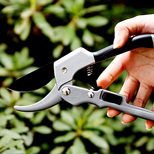 CoZroom Professional Bypass Pruning Shears, Hand Pruners, Garden Clipper – Ideal for Trees, Flowers, Stems, Shrubs and Branches - Thumbnail 7