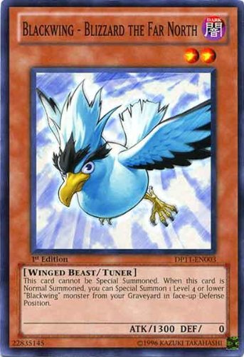 Kết quả hình ảnh cho yugioh blackwing blizzard the far north