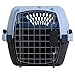 Petmate Aspen Pet Porter Fashion Kennel Up to 10 Lbs